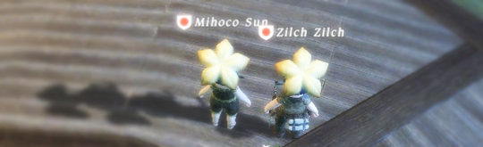 FFXIV_1285242462.jpg